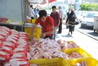 عرضه مرغ به بازار 11 درصد افزایش یافت